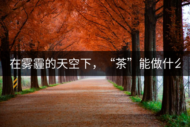在霧霾的天空下，“茶”能做什么？