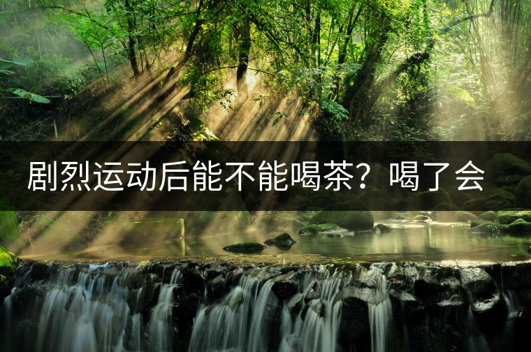 劇烈運動后能不能喝茶？喝了會有什么不適？
