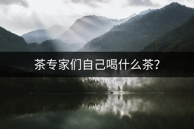 茶專家們自己喝什么茶？