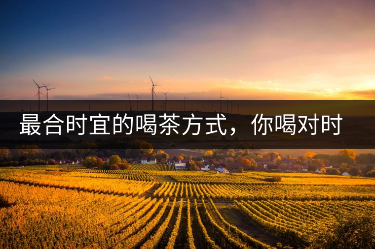 最合時宜的喝茶方式，你喝對時間了嗎？