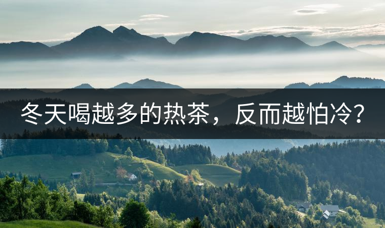冬天喝越多的熱茶，反而越怕冷？