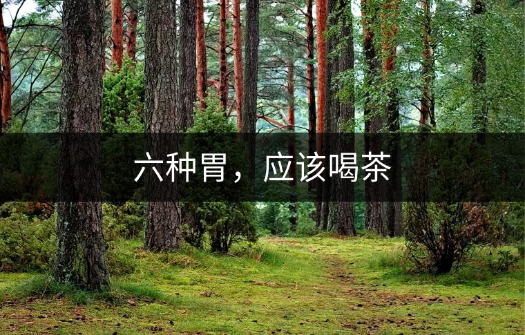 六種胃，應(yīng)該喝茶