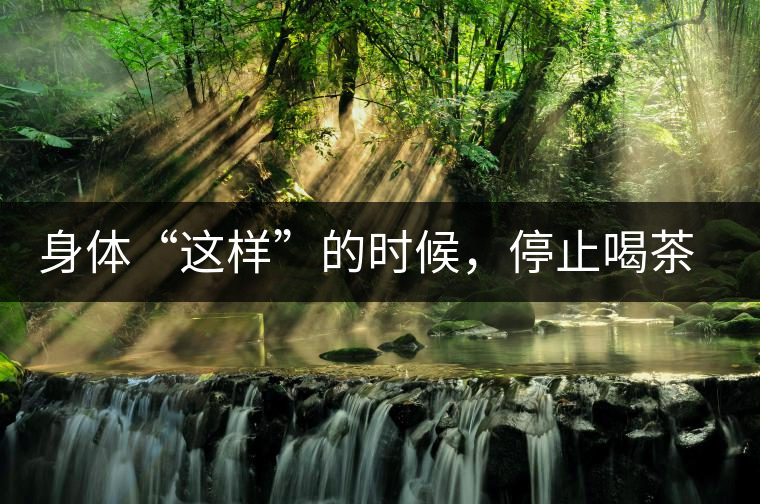 身體“這樣”的時(shí)候，停止喝茶！當(dāng)心好茶變“毒藥”！