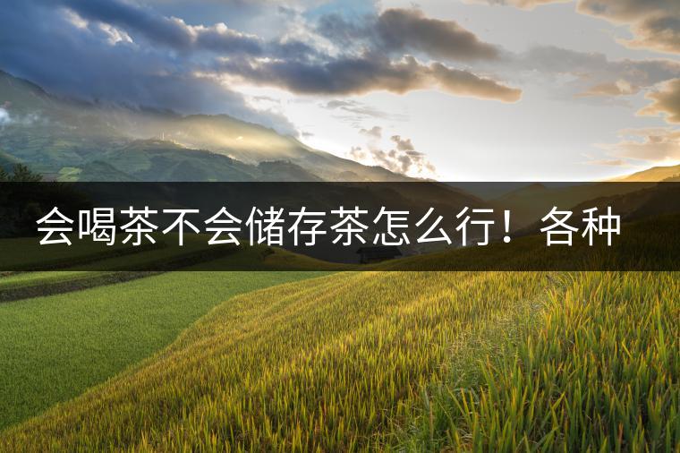 會(huì)喝茶不會(huì)儲(chǔ)存茶怎么行！各種存茶方法與技巧，把茶香留住