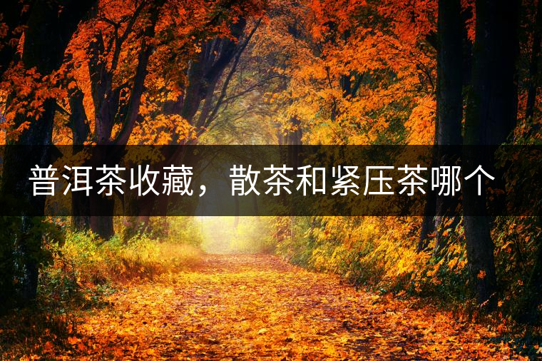 普洱茶收藏，散茶和緊壓茶哪個更好？