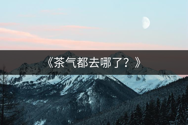 《茶氣都去哪了？》