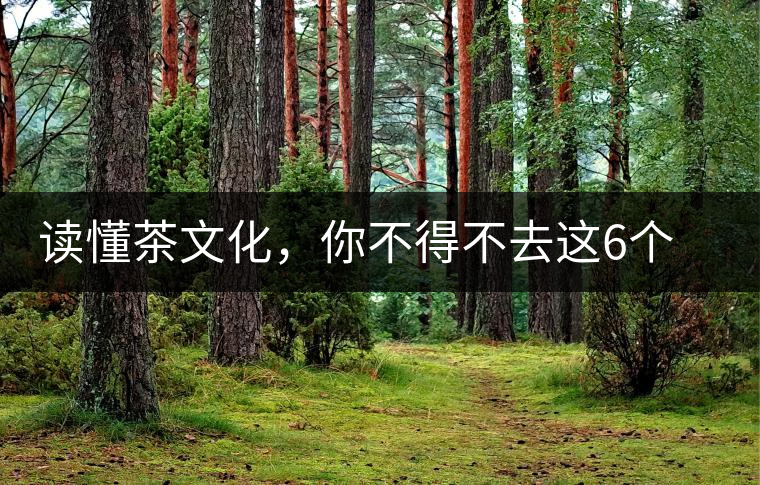 讀懂茶文化，你不得不去這6個城市