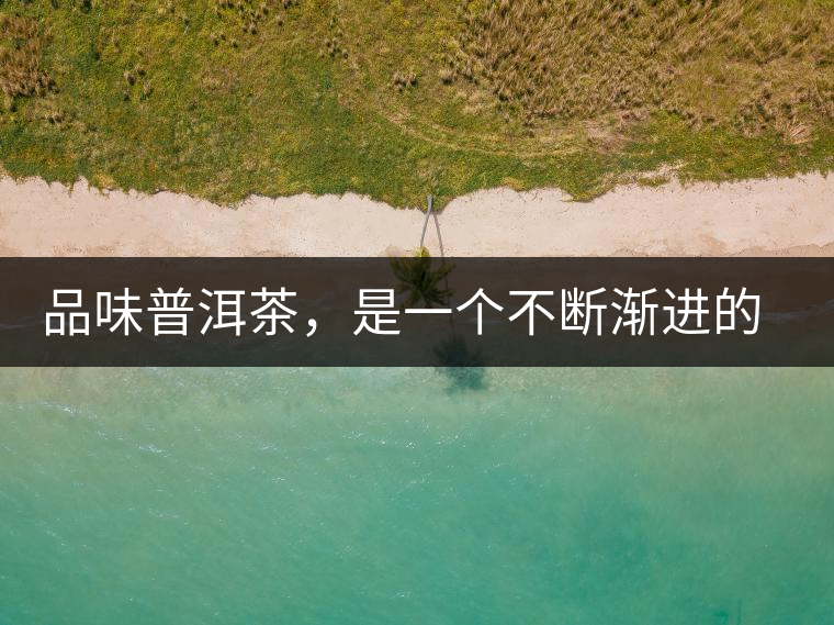 品味普洱茶，是一個不斷漸進的過程