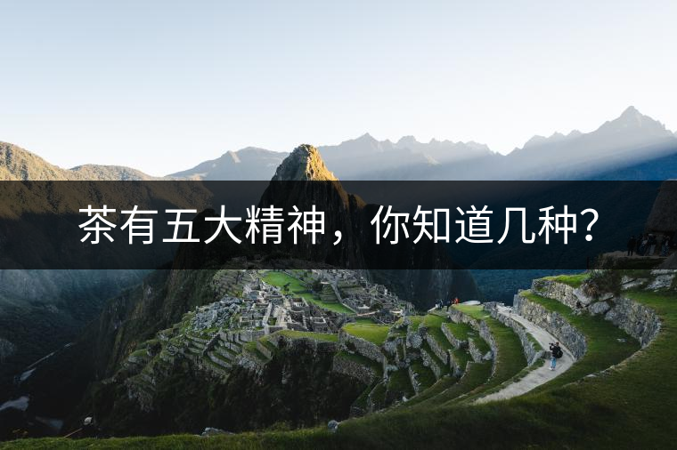 茶有五大精神，你知道幾種？