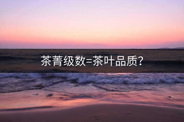 茶菁級(jí)數(shù)=茶葉品質(zhì)？