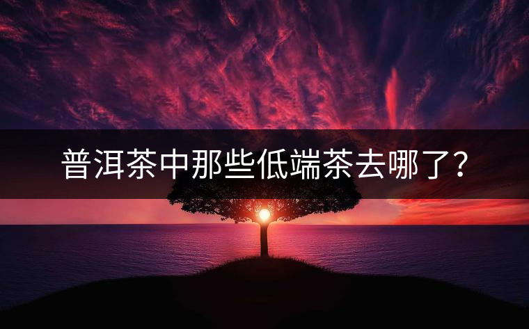 普洱茶中那些低端茶去哪了？