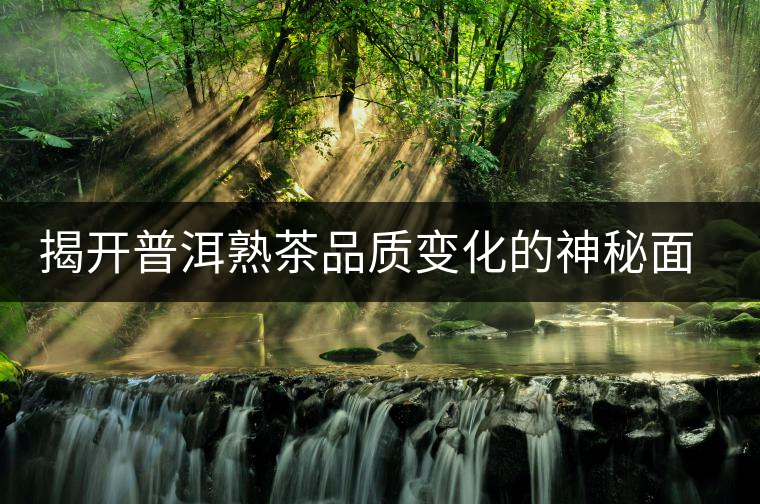 揭開普洱熟茶品質(zhì)變化的神秘面紗 揭開普洱熟茶品質(zhì)變化的神秘面紗