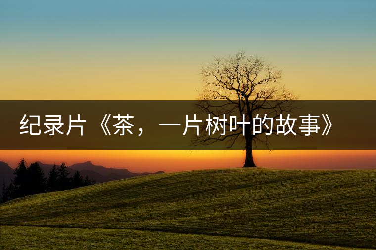 紀(jì)錄片《茶，一片樹葉的故事》 茶文化的詩意追尋