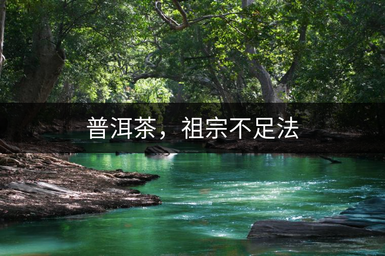 普洱茶，祖宗不足法
