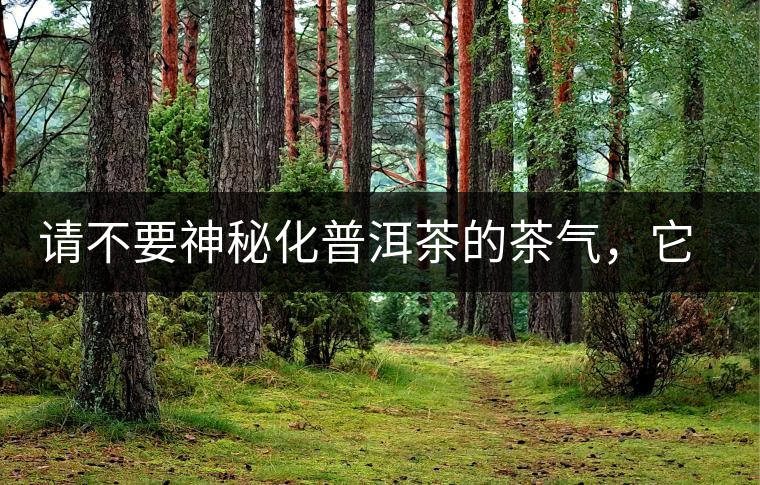 請(qǐng)不要神秘化普洱茶的茶氣，它是科學(xué)的存在