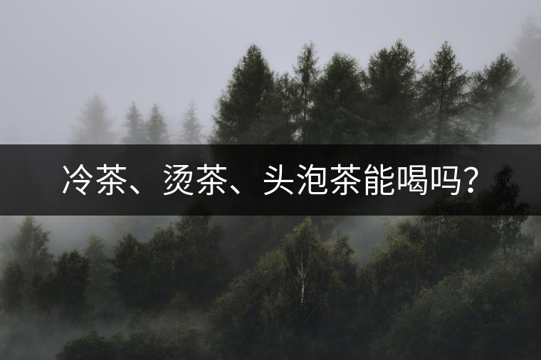 冷茶、燙茶、頭泡茶能喝嗎？
