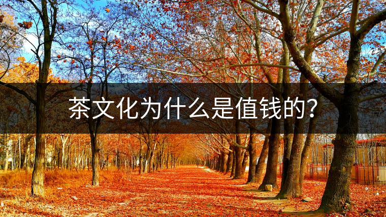 茶文化為什么是值錢的？