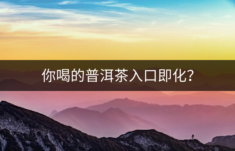 你喝的普洱茶入口即化？