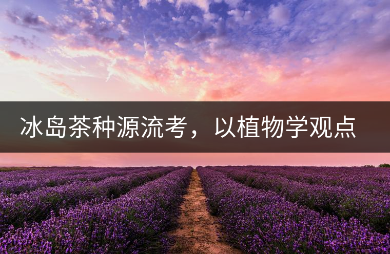 冰島茶種源流考，以植物學觀點解讀冰島茶