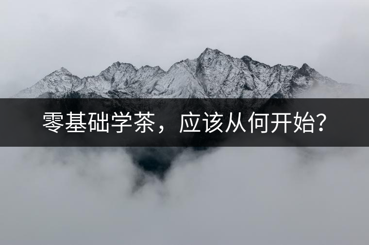 零基礎學茶，應該從何開始？