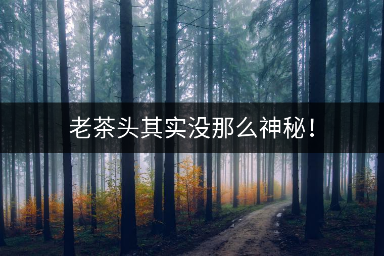 老茶頭其實(shí)沒那么神秘！