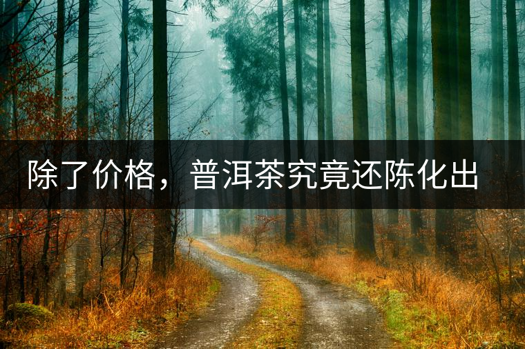 除了價(jià)格，普洱茶究竟還陳化出了啥？