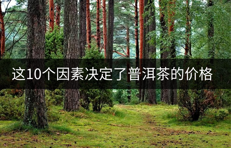 這10個因素決定了普洱茶的價格？