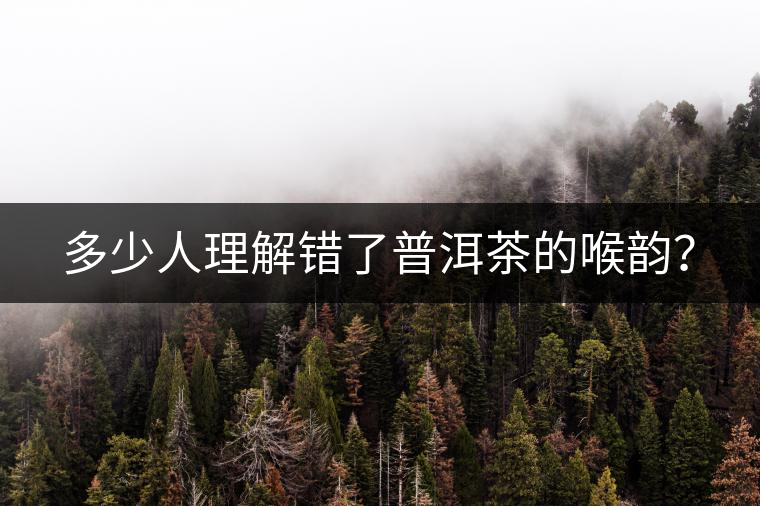 多少人理解錯(cuò)了普洱茶的喉韻？