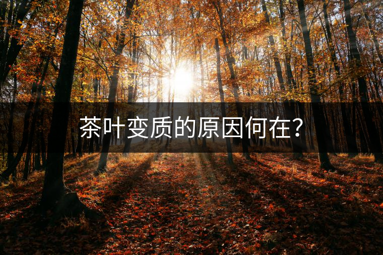 茶葉變質(zhì)的原因何在？