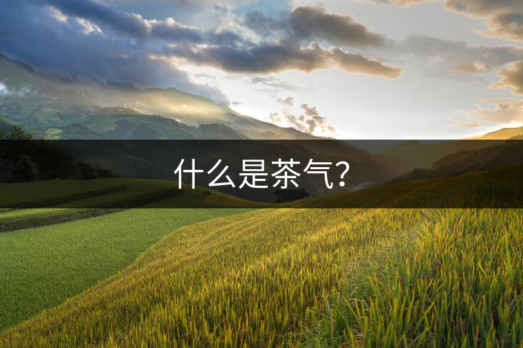 什么是茶氣？