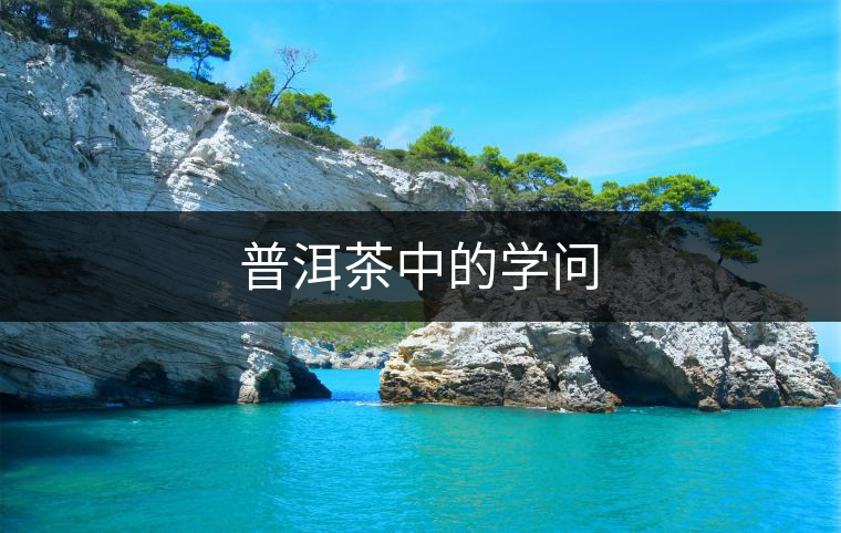 普洱茶中的學問