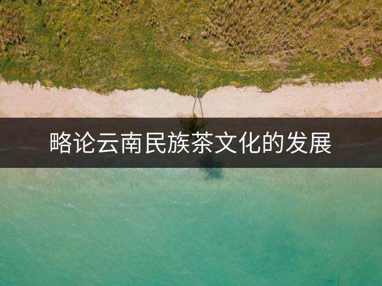 略論云南民族茶文化的發(fā)展 略論云南民族茶文化的發(fā)展