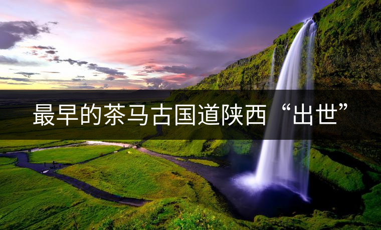 最早的茶馬古國道陜西“出世” 最早的茶馬古國道陜西“出世”