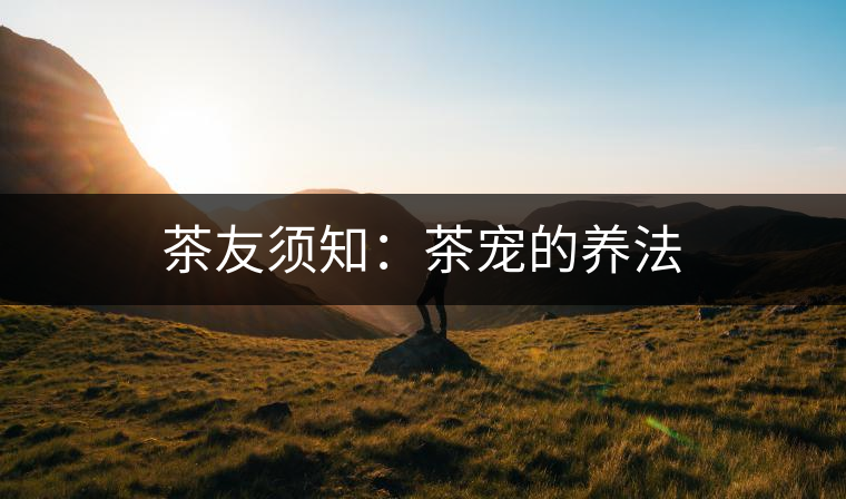 茶友須知：茶寵的養(yǎng)法