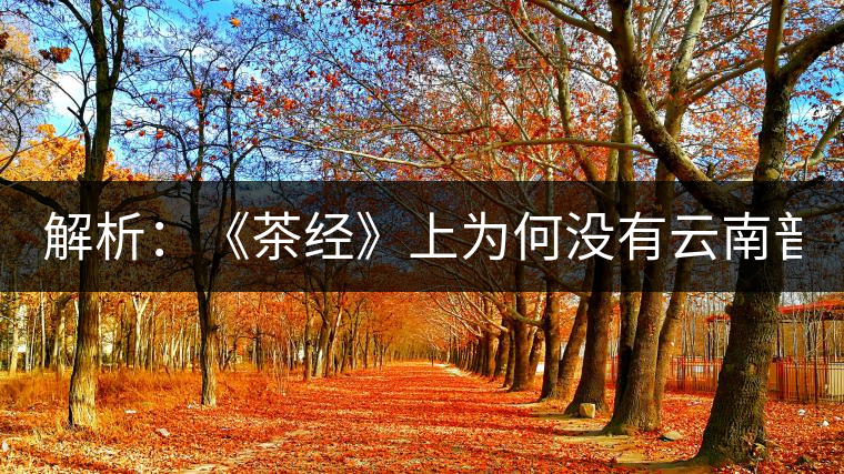 解析：《茶經(jīng)》上為何沒(méi)有云南普洱茶 ？