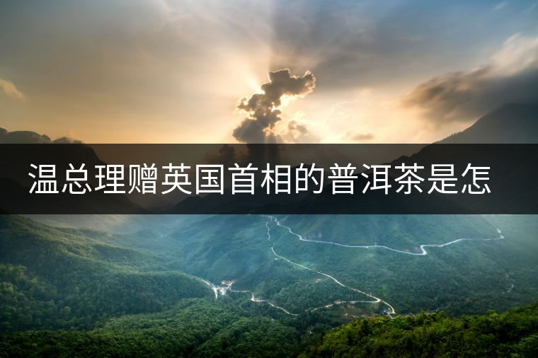 溫總理贈英國首相的普洱茶是怎么制作的？