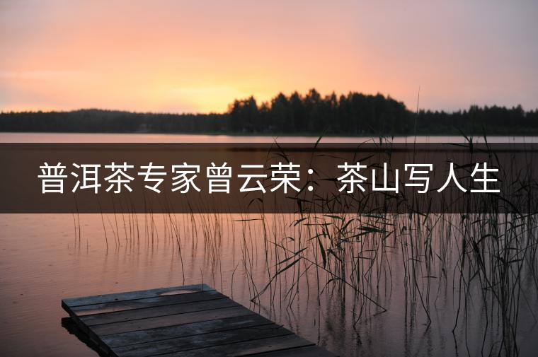 普洱茶專(zhuān)家曾云榮：茶山寫(xiě)人生