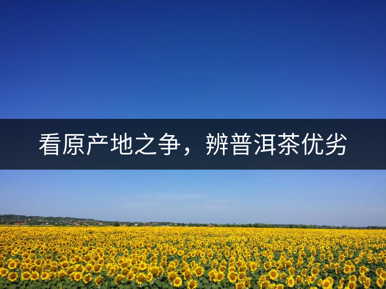 看原產(chǎn)地之爭,辨普洱茶優(yōu)劣 看原產(chǎn)地之爭,辨普洱茶優(yōu)劣