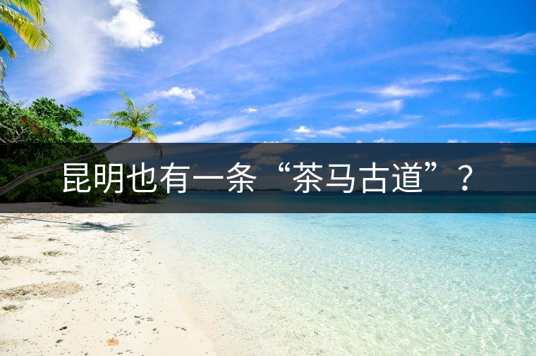 昆明也有一條“茶馬古道”？