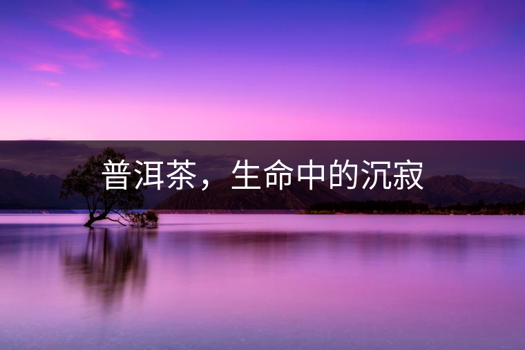 普洱茶，生命中的沉寂