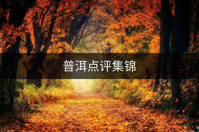 普洱點(diǎn)評(píng)集錦