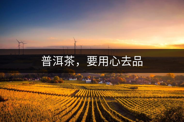 普洱茶，要用心去品