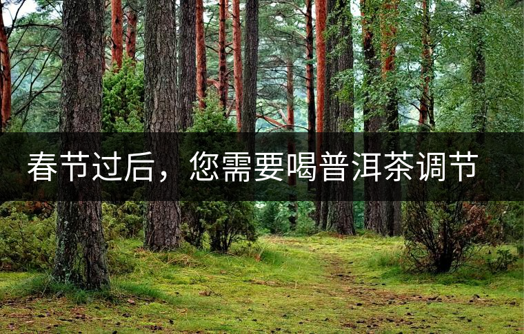 春節(jié)過后，您需要喝普洱茶調節(jié)身體
