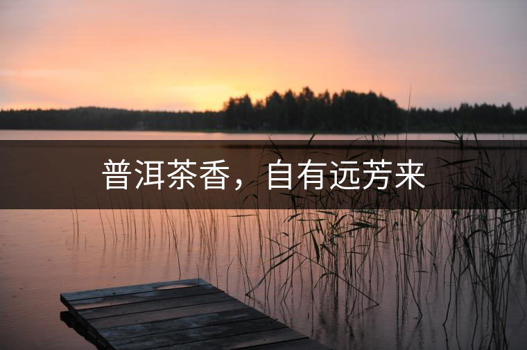 普洱茶香，自有遠(yuǎn)芳來(lái)