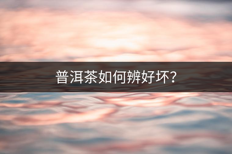 普洱茶如何辨好壞？