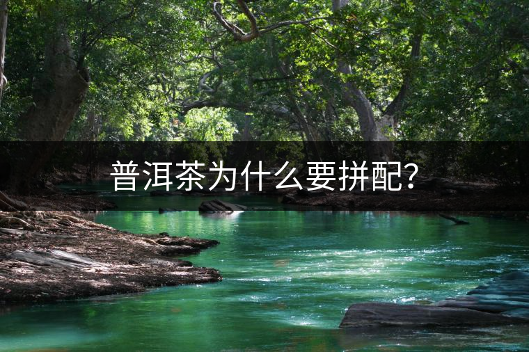 普洱茶為什么要拼配？