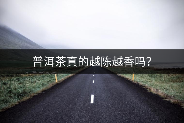 普洱茶真的越陳越香嗎？