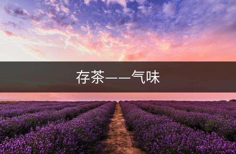 存茶——?dú)馕? alt=