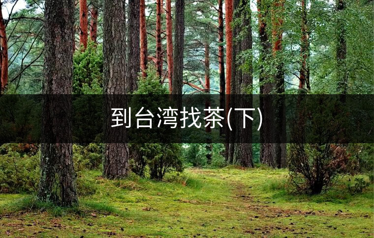 到臺(tái)灣找茶(下) 到臺(tái)灣找茶(下)
