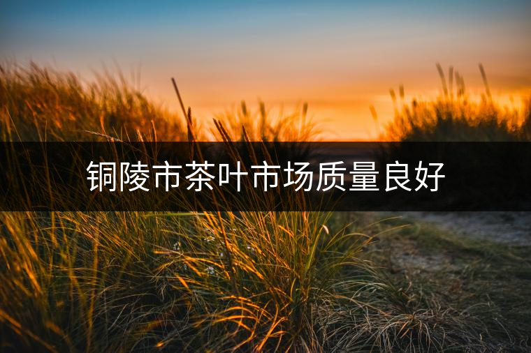 銅陵市茶葉市場(chǎng)質(zhì)量良好 銅陵市茶葉市場(chǎng)質(zhì)量良好